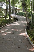 Educational Center - path