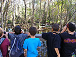School Field Trip
