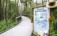 Interpretive Trail Signs