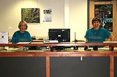 Volunteers helping with the phones