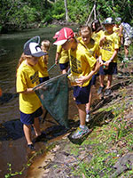 Wetland Adventure Camp