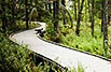 Boardwalks & Hiking Trails