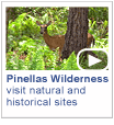 Pinellas Wilderness - Pinellas County may have a reputation for being the most modernized and urban county in Florida, but you’d never know it from the many natural and historical sites you can visit here. Time: 6 min.